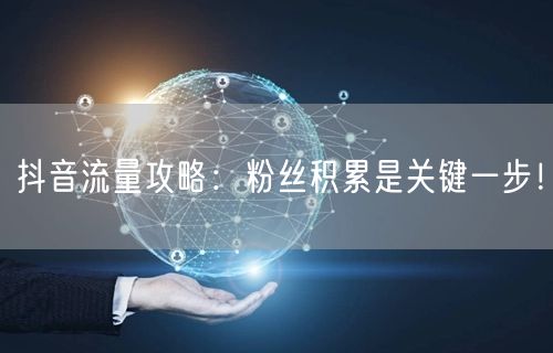 抖音流量攻略：粉丝积累是关键一步！